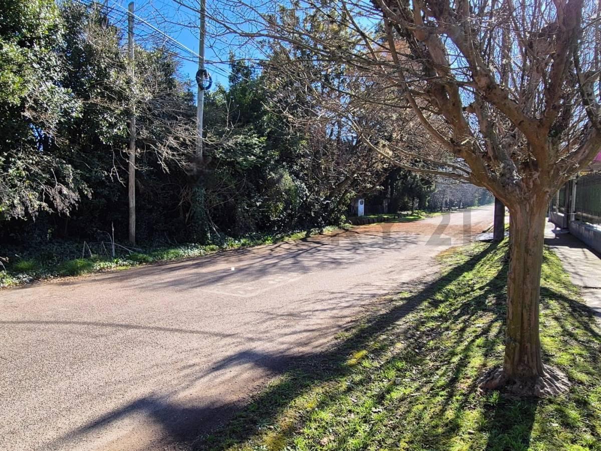 Foto de Lote en venta en City Bell, imagen 3
