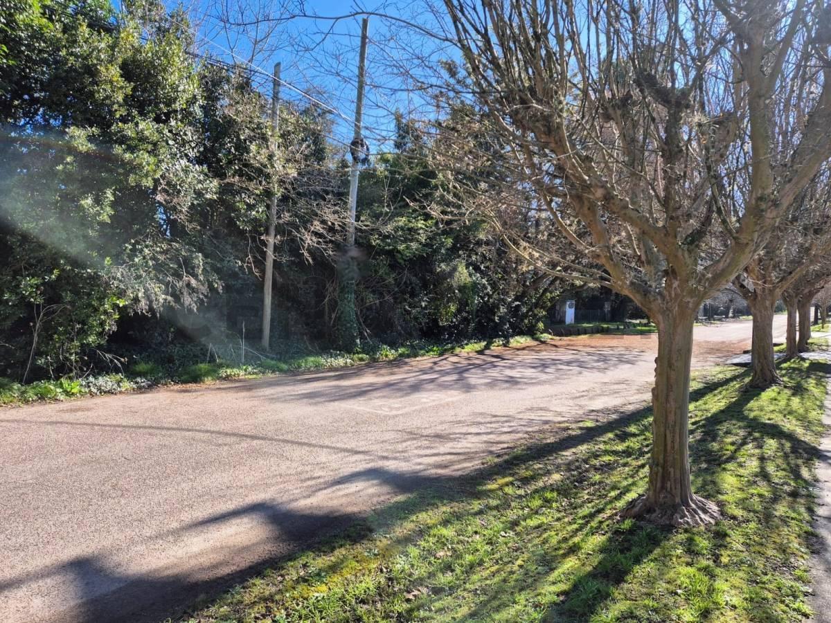 Foto de Lote en venta en City Bell, imagen 4