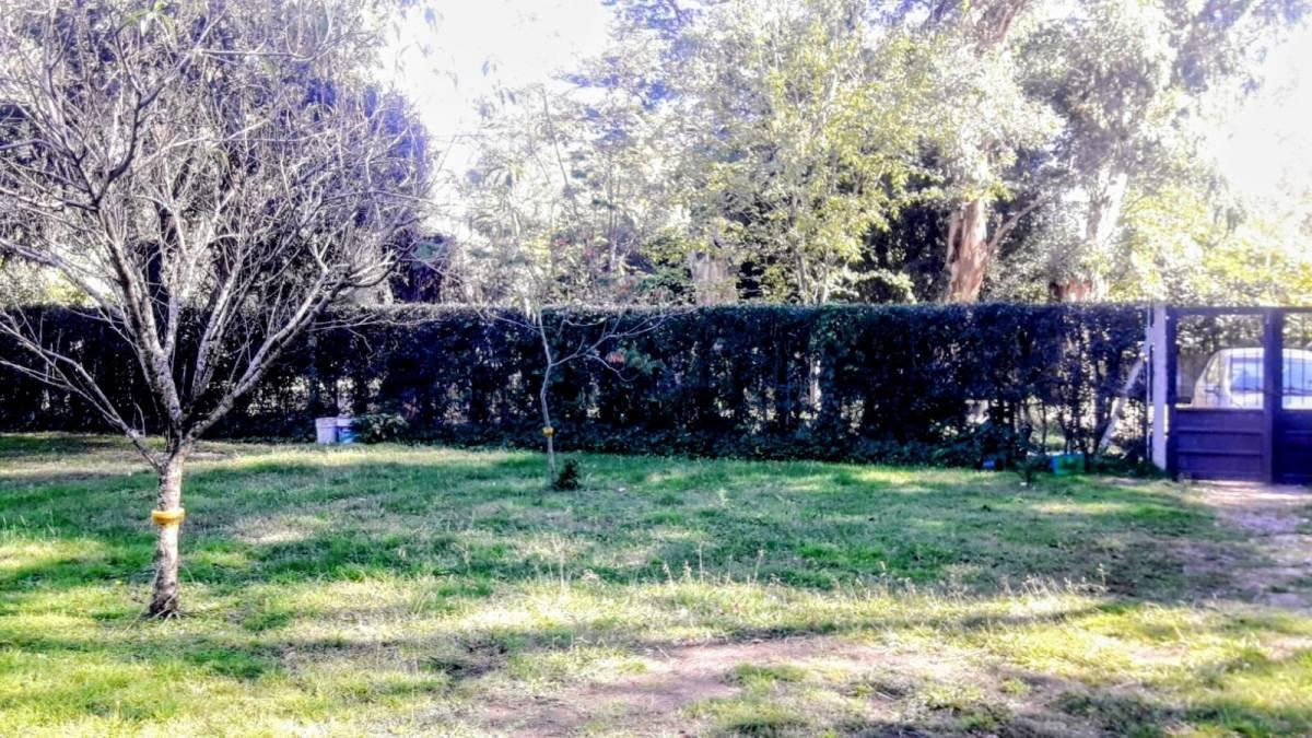 Foto de Lote con Galpon en venta Domselaar, imagen 3