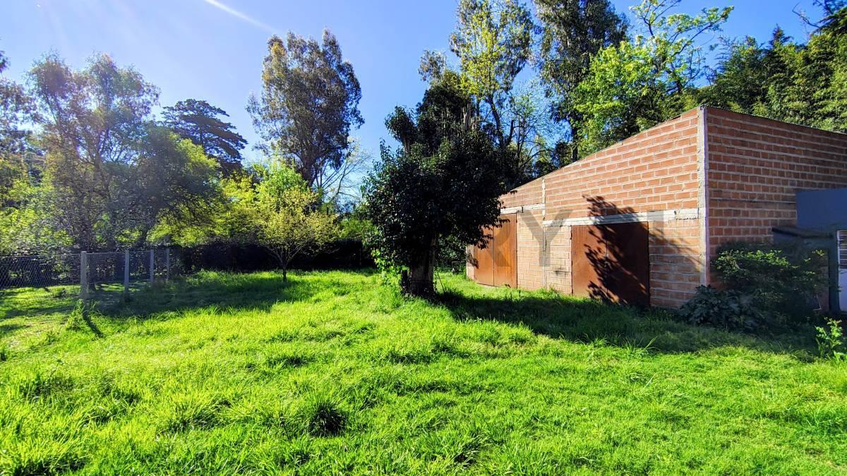 Foto de Lote con Galpon en venta Domselaar, imagen 1