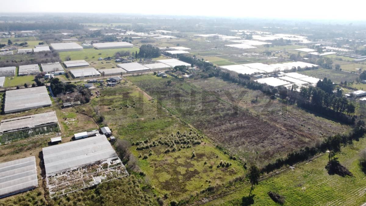 Foto de venta de campo en city bell, imagen 5
