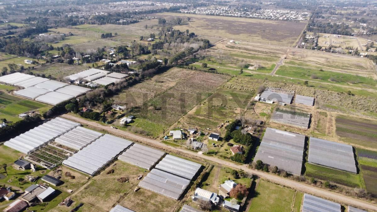 Foto de venta de campo en city bell, imagen 3