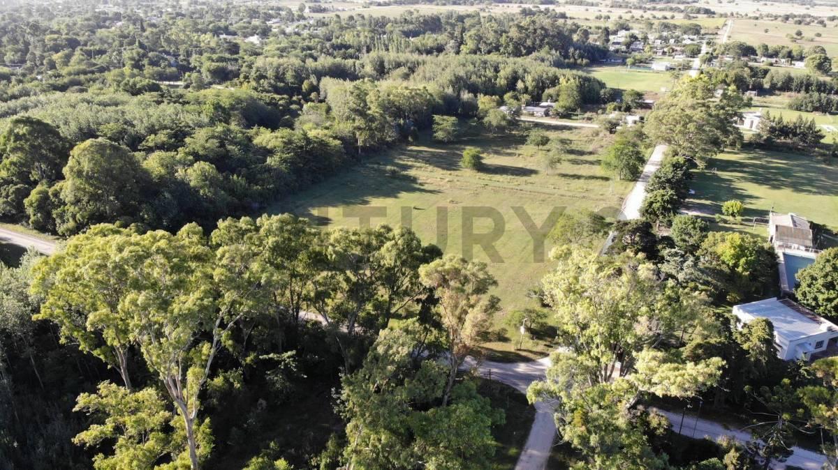 Foto de FRACCION CON MONTE A LA VENTA EN MAGDALENA, imagen 2