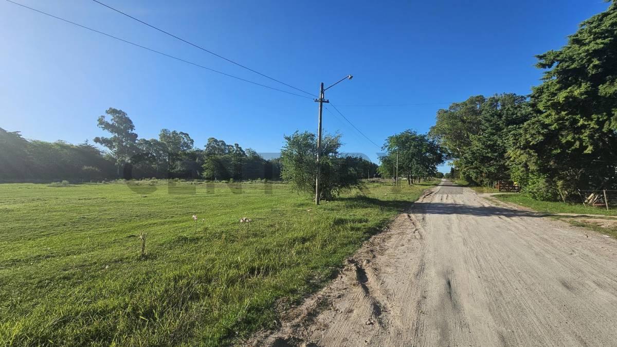 Foto de FRACCION CON MONTE A LA VENTA EN MAGDALENA, imagen 4