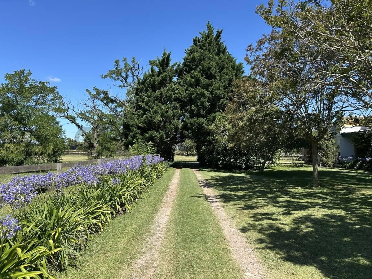 Foto de CAMPO EN VENTA EN GRAN LA PLATA, imagen 1