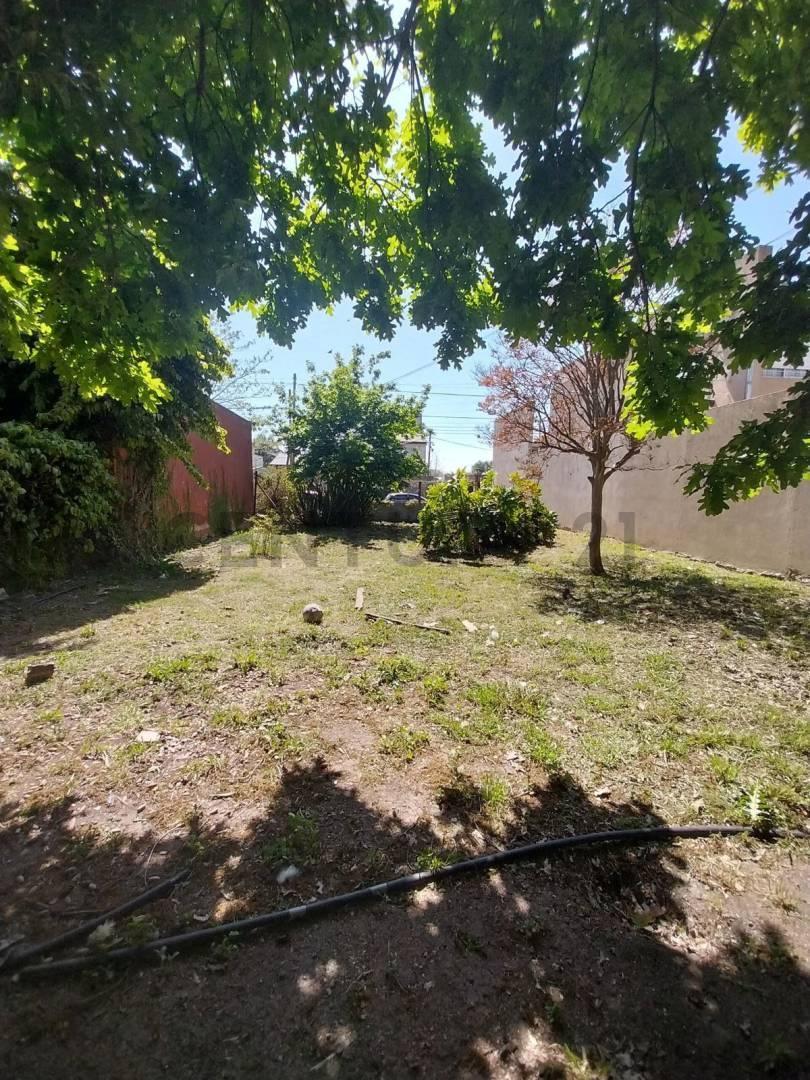 Foto de Terreno a la venta en Los Hornos, imagen 3