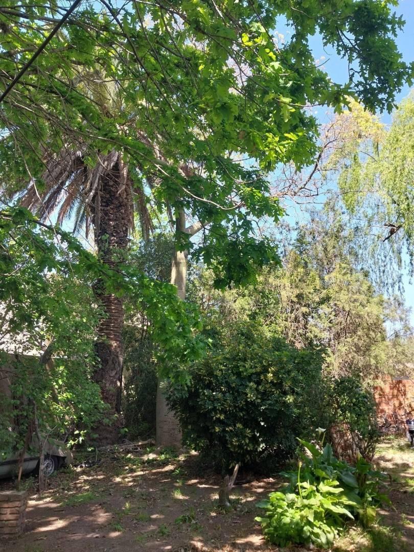 Foto de Terreno a la venta en Los Hornos, imagen 2
