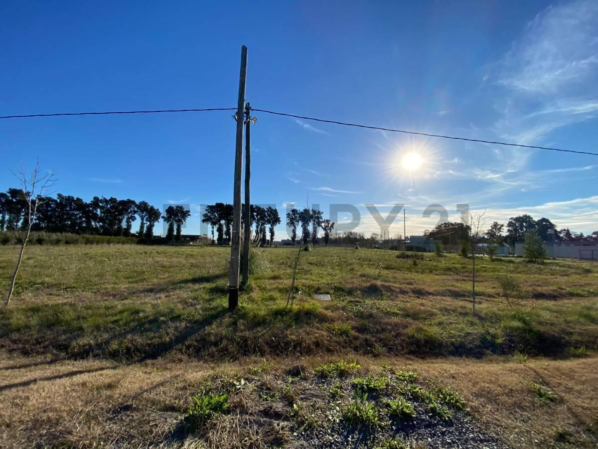 Foto de Lote en venta en La Cañada, City Bell, imagen 1