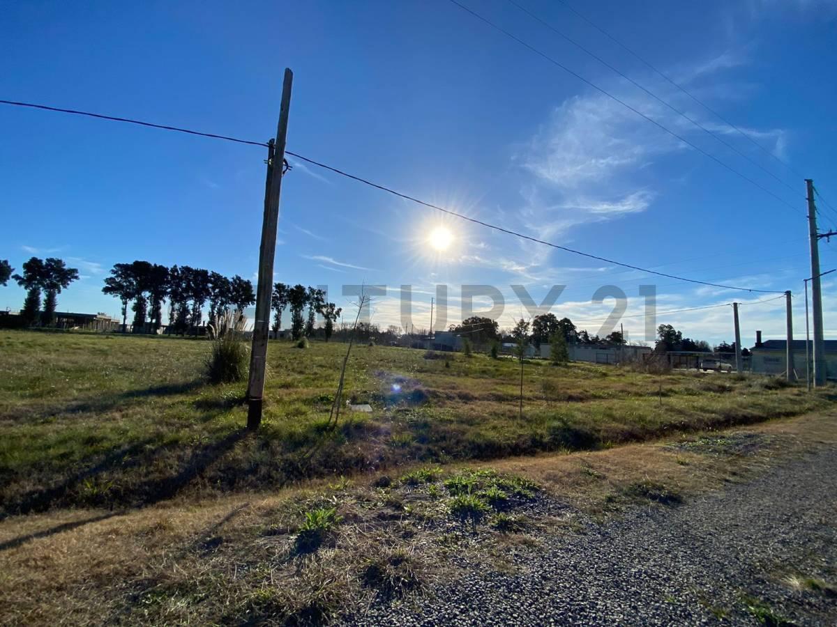 Foto de Lote en venta en La Cañada, City Bell, imagen 3