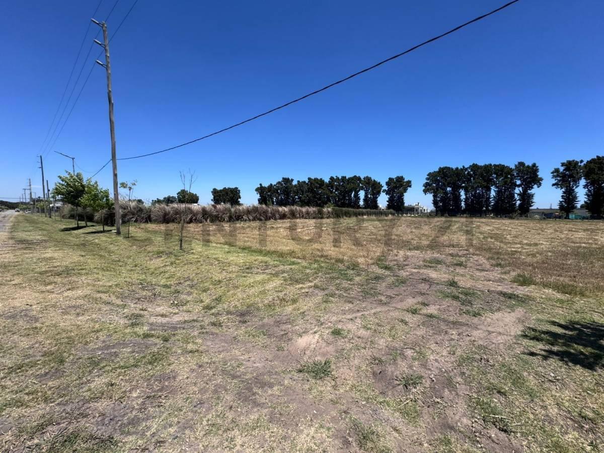 Foto de Lote en venta en La Cañada, City Bell, imagen 5