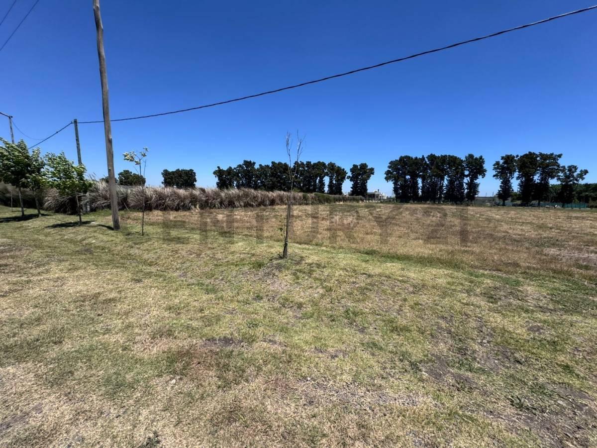 Foto de Lote en venta en La Cañada, City Bell, imagen 4