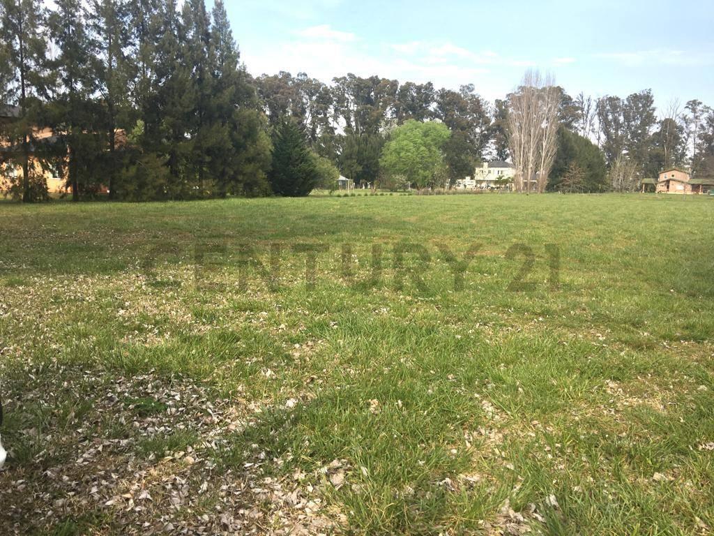 Foto de Venta de lote de 5000 metros en campos de roca 1 barrio cerrado, imagen 4