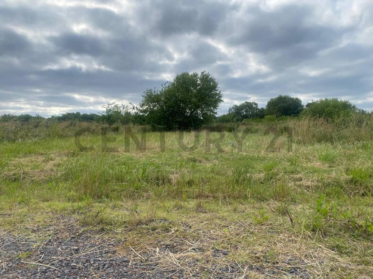 Foto de LOTES A LA VENTA EN AZALEAS, imagen 4