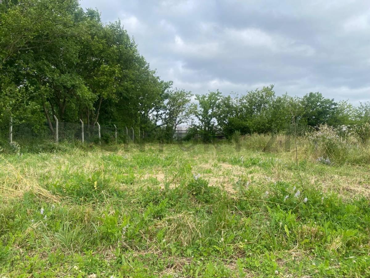 Foto de LOTES A LA VENTA EN AZALEAS, imagen 5