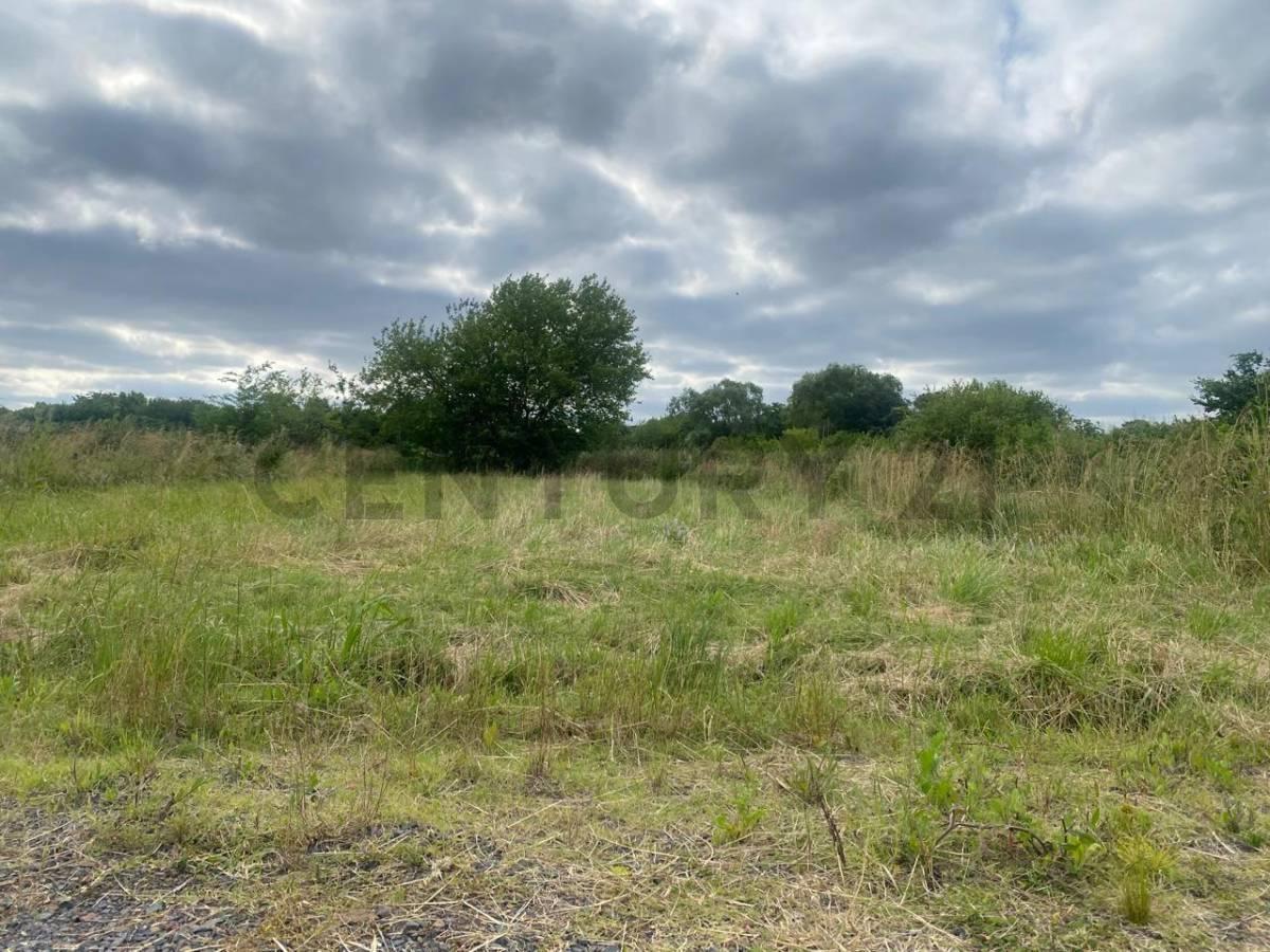 Foto de LOTES A LA VENTA EN AZALEAS, imagen 2