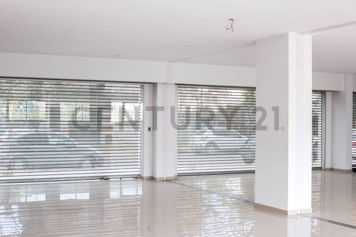 Foto de LOCAL COMERCIAL EN ALQUILER EN LA PLATA, imagen 3