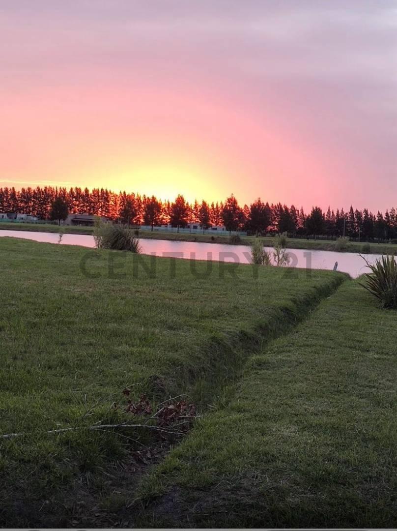 Foto de VENTA TERRENO CAMPOS DE ROCA ll 2520 m2, imagen 4