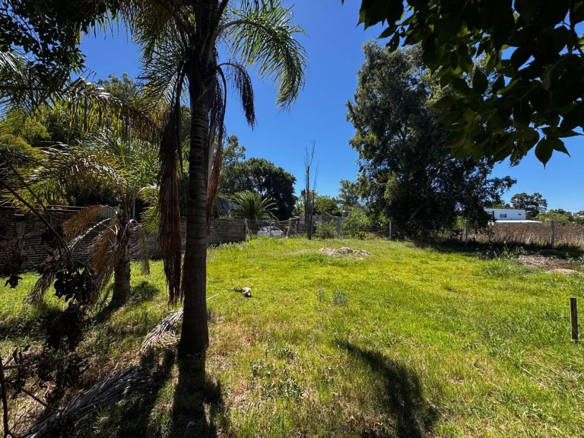 Foto de LOTE EN VENTA CITY BELL BARRIO "LA EMILIA", imagen 3