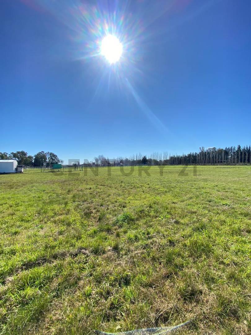 Foto de Lote en venta en barrio cerrado, Los Hornos, imagen 2