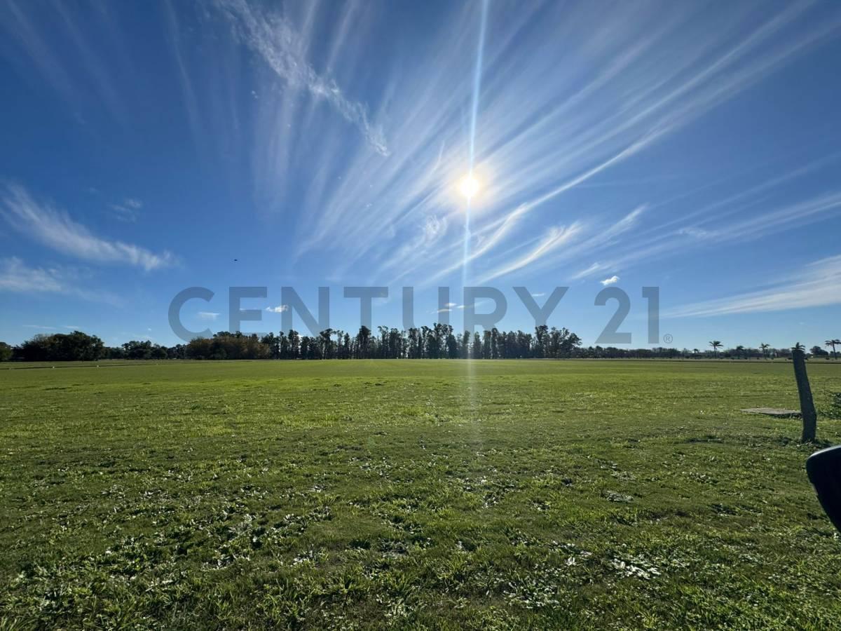 Foto de CABALLERIZAS DE POLO CON 3 DEPARTAMENTOS, imagen 4
