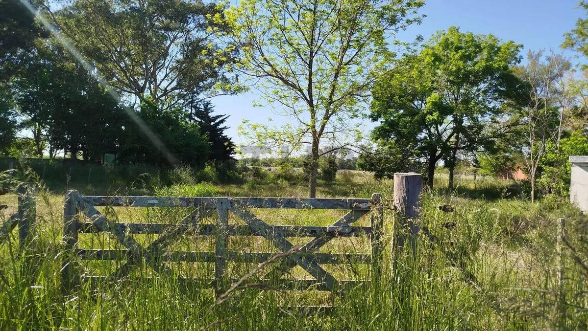 Foto de Lotes en Venta en Ruta 2 Km 63, Barrio Los Cachorros, La Plata, Buenos, imagen 3