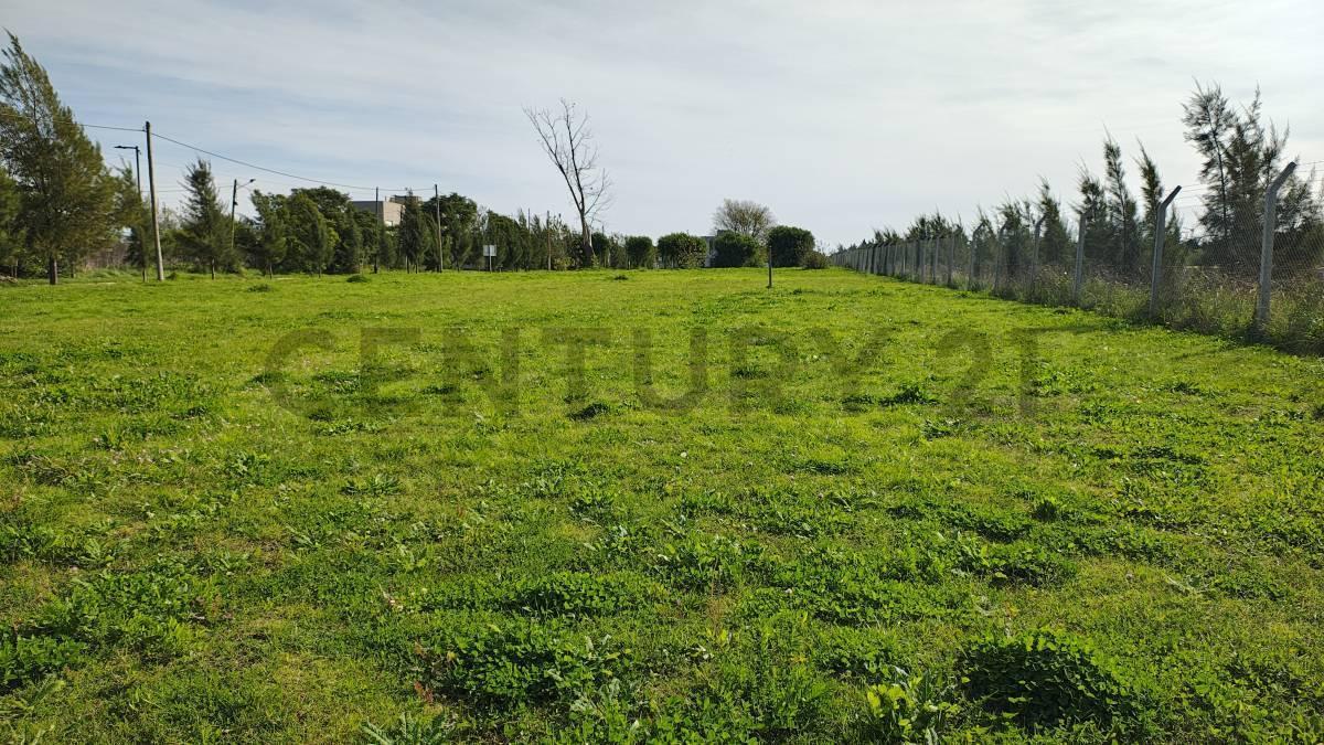 Foto de Lotes en Venta Cittabella, Don Carlos, Gorina, imagen 3
