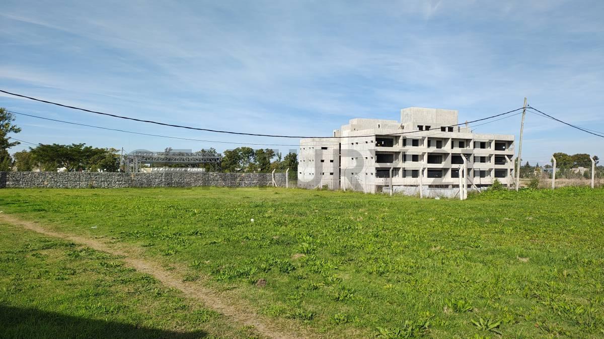 Foto de Lotes en Venta Cittabella, Don Carlos, Gorina, imagen 3
