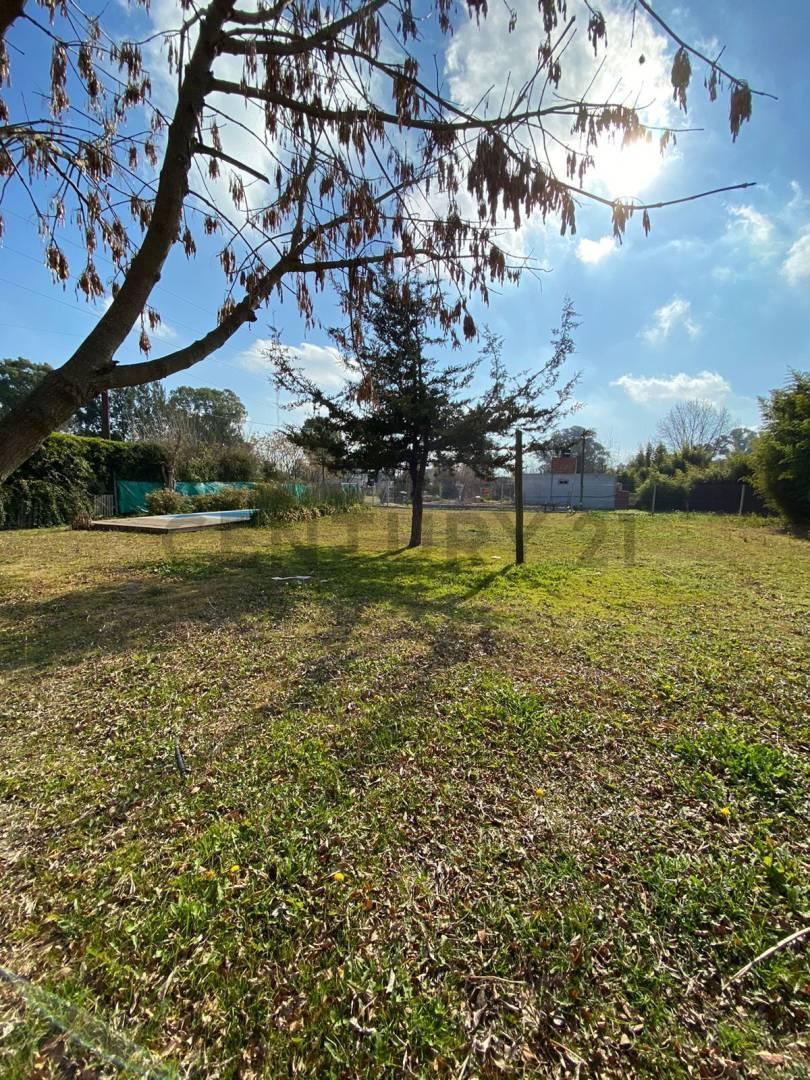 Foto de Lote en venta en el Rincon, Villa Elisa, imagen 4