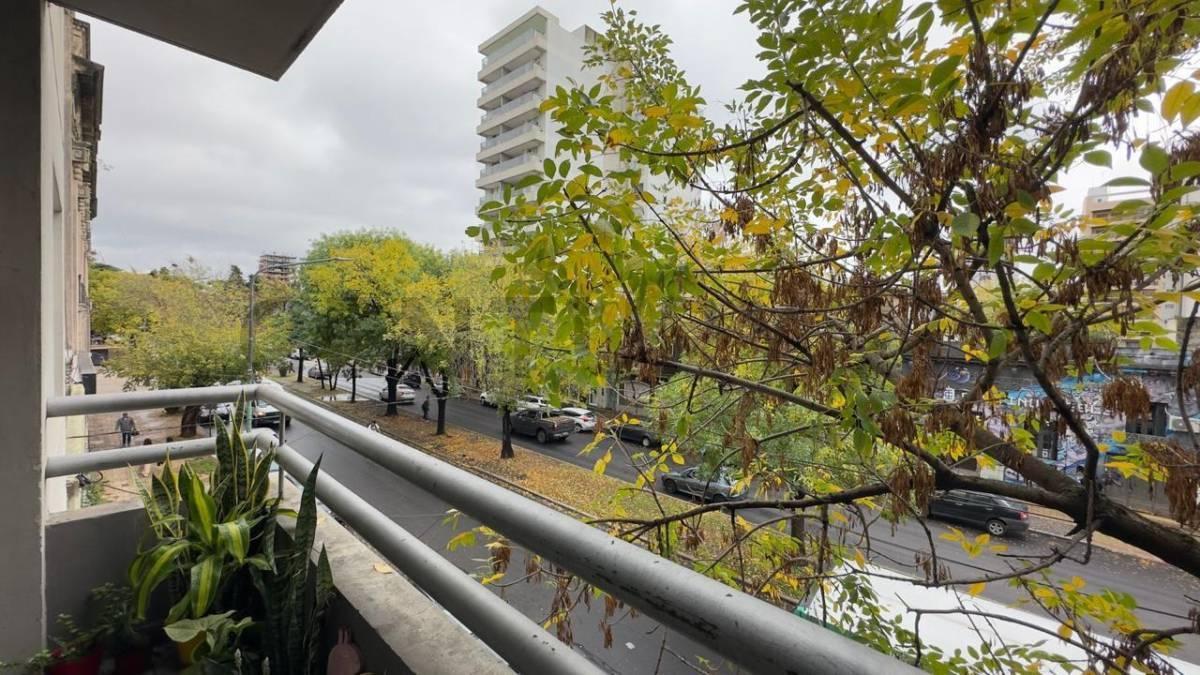 Foto de DEPARTAMENTO EN VENTA 1 DORMITORIO EN LA PLATA, imagen 5
