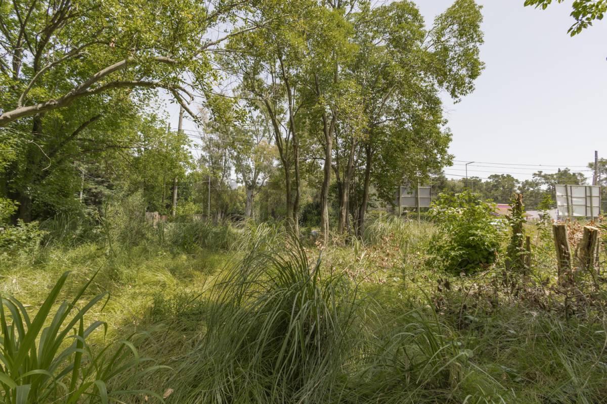 Foto de LOTE A LA VENTA EN VILLA ELISA, imagen 5