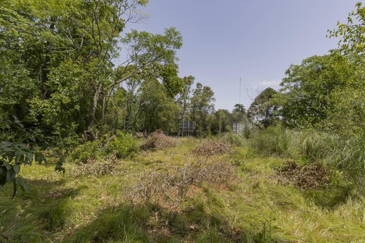 Foto de LOTE A LA VENTA EN VILLA ELISA, imagen 1