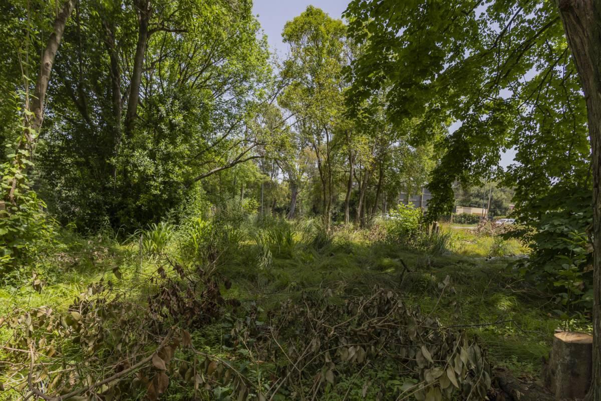 Foto de LOTE A LA VENTA EN VILLA ELISA, imagen 4