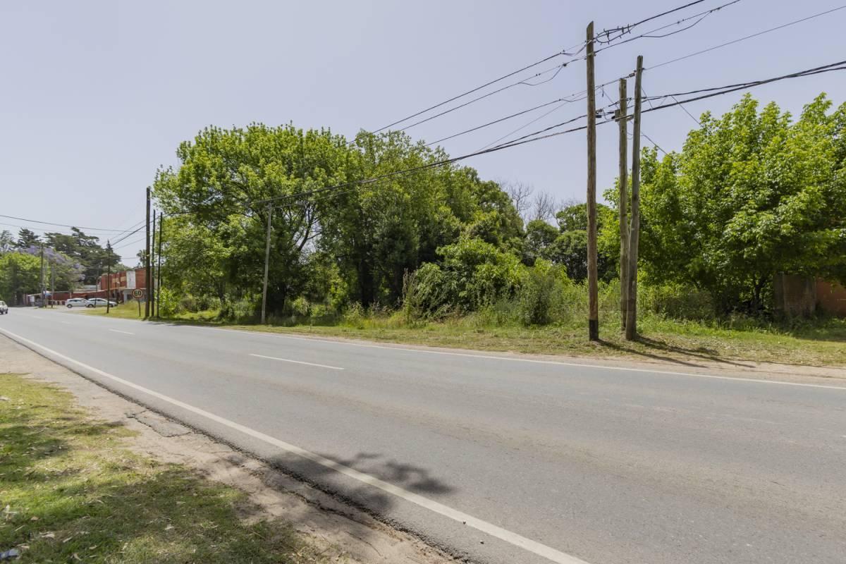 Foto de LOTE A LA VENTA EN VILLA ELISA, imagen 3
