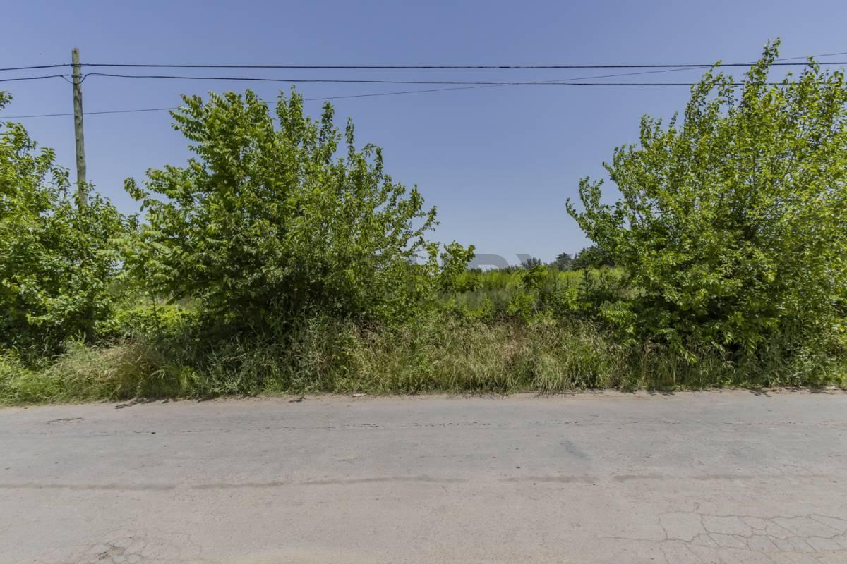 Foto de FRACCION A LA VENTA EN VILLA ELISA, imagen 5