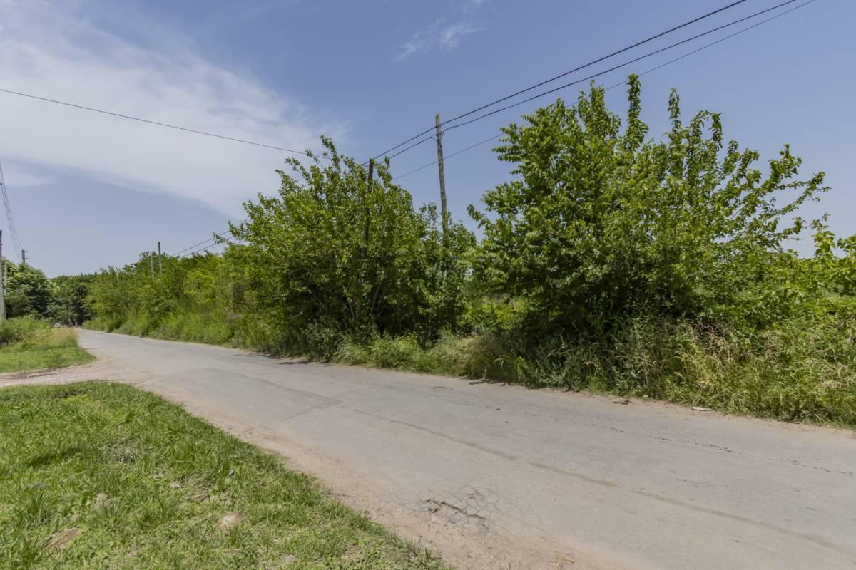 Foto de FRACCION A LA VENTA EN VILLA ELISA, imagen 1