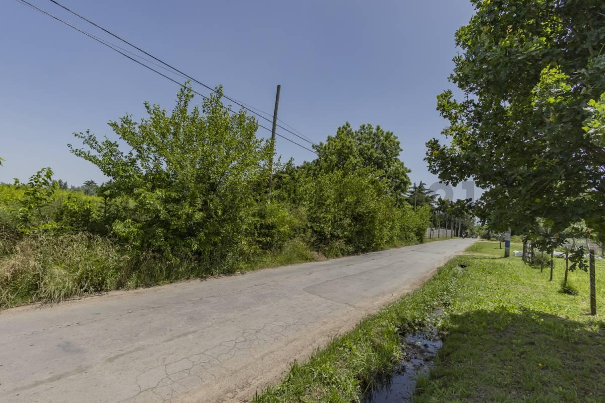 Foto de FRACCION A LA VENTA EN VILLA ELISA, imagen 2