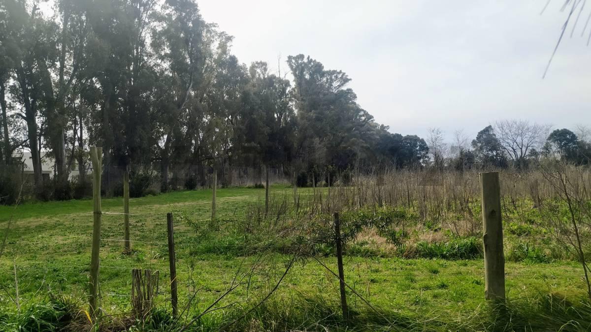 Foto de Lote en VENTA en CITY BELL, imagen 2
