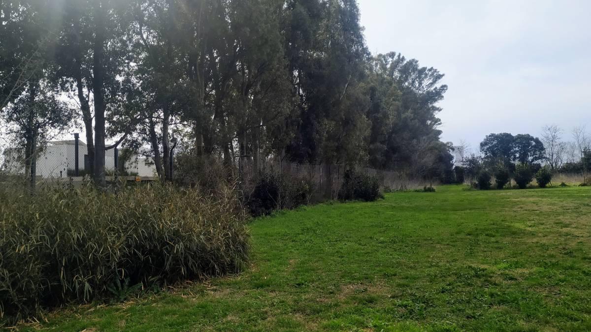 Foto de Lote en VENTA en CITY BELL, imagen 1