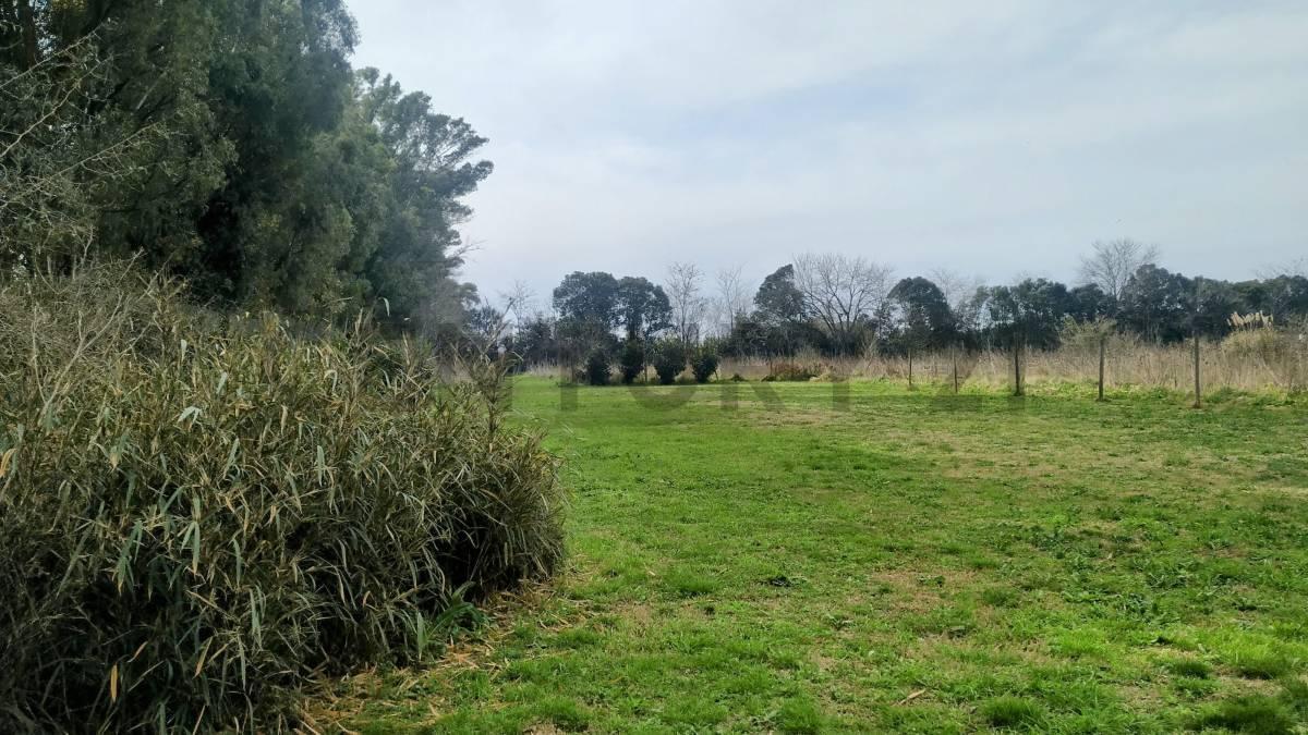 Foto de Lote en VENTA en CITY BELL, imagen 5