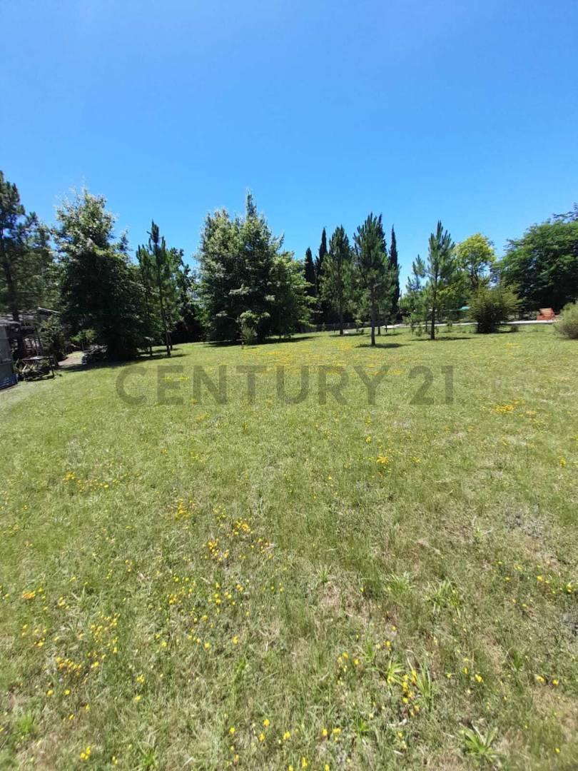 Foto de Lote en venta en arturo segui, imagen 1