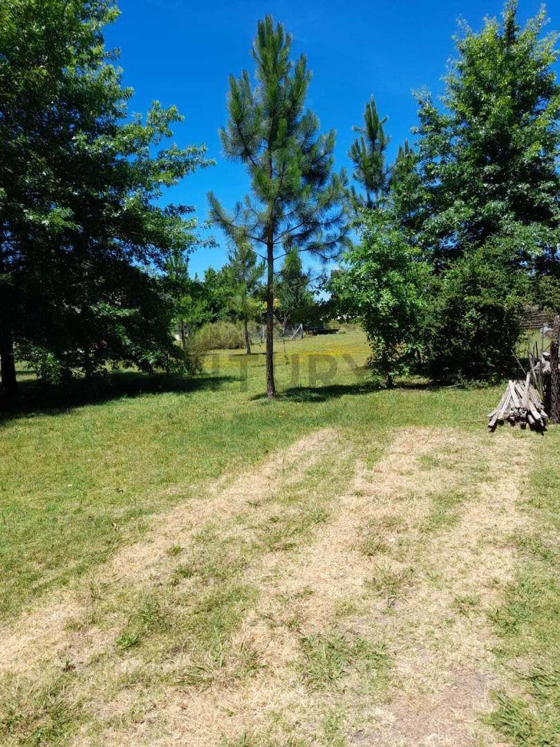 Foto de Lote en venta en arturo segui, imagen 2