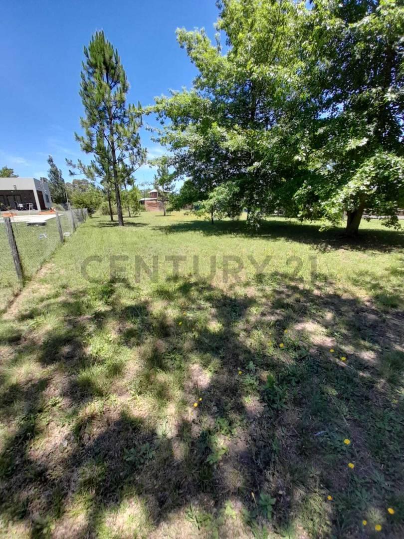 Foto de Lote en venta en arturo segui, imagen 3