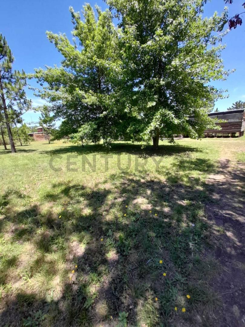 Foto de Lote en venta en arturo segui, imagen 5