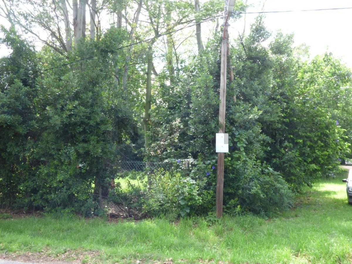 Foto de VENTA DE LOTE EN CITY BELL, imagen 2