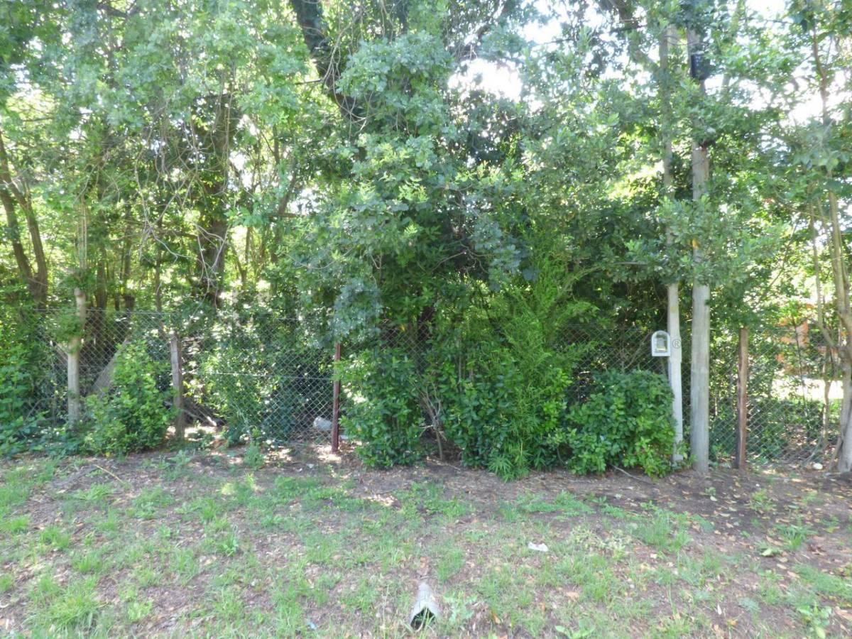 Foto de VENTA DE LOTE EN CITY BELL, imagen 5