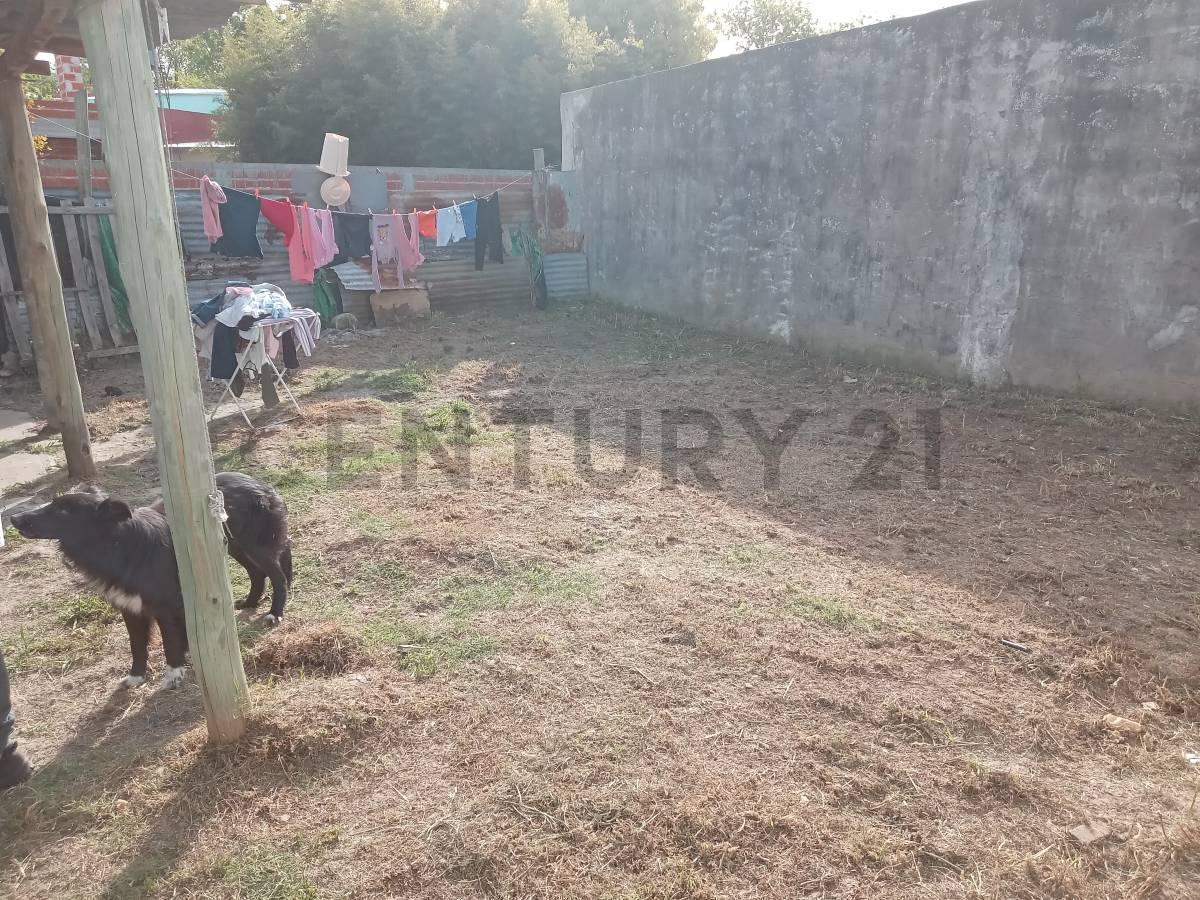Foto de Casa a refaccionar en Venta en Verónica, imagen 5