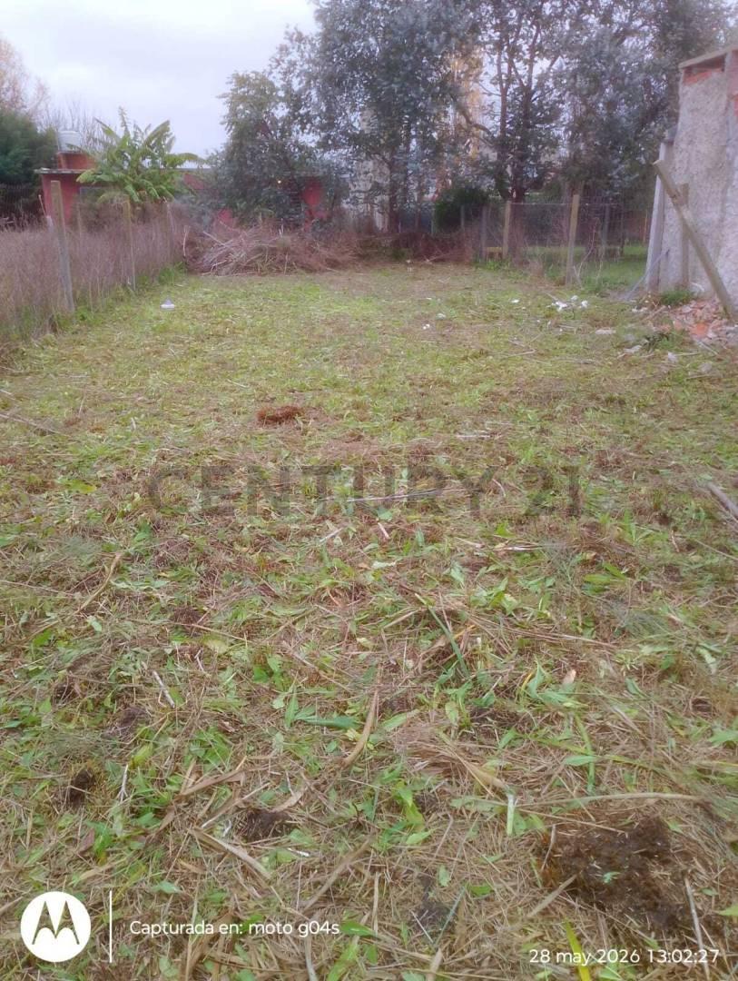 Foto de Terreno en Venta, Villa Garibaldi, Buenos Aires., imagen 4