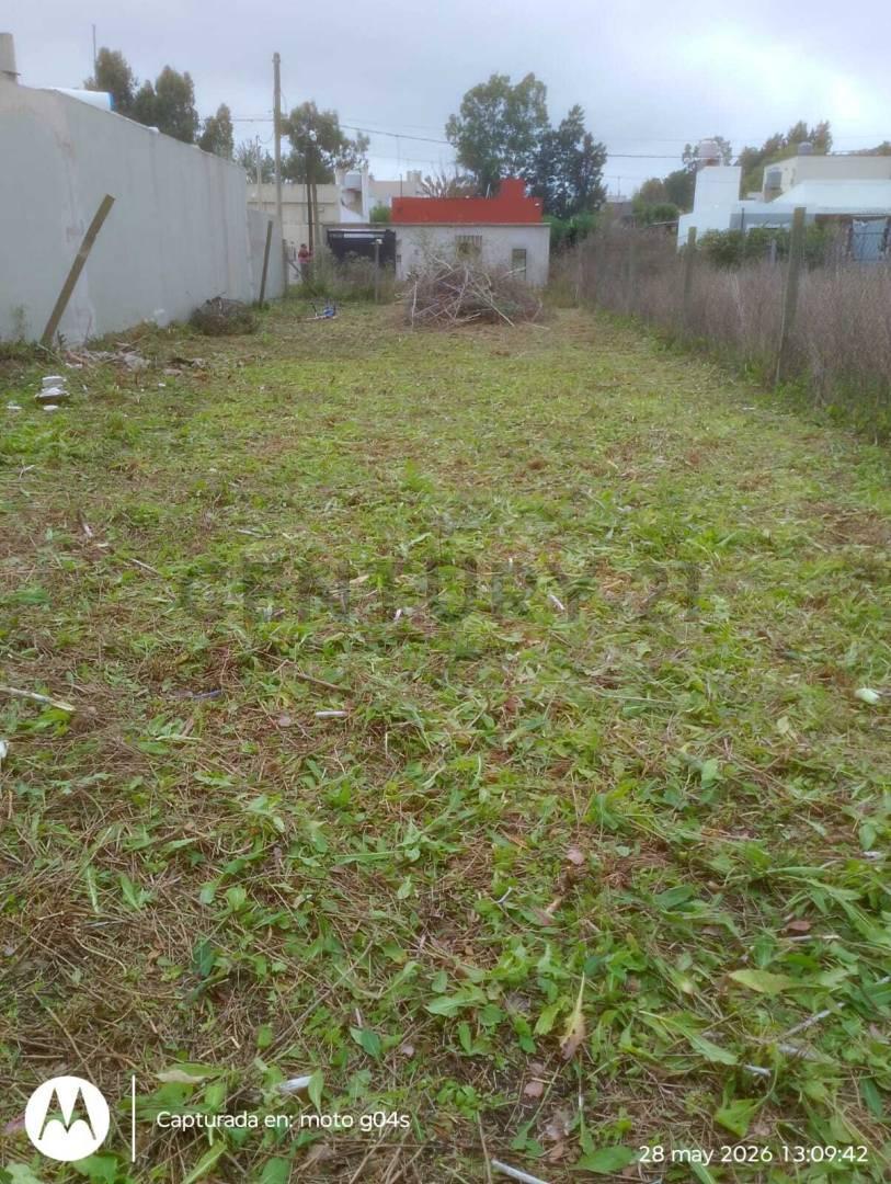 Foto de Terreno en Venta, Villa Garibaldi, Buenos Aires., imagen 3