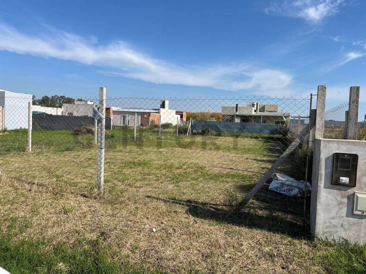 Foto de Terreno en Venta ubicado en el Barrio Lomas de Arana, La Plata, imagen 4