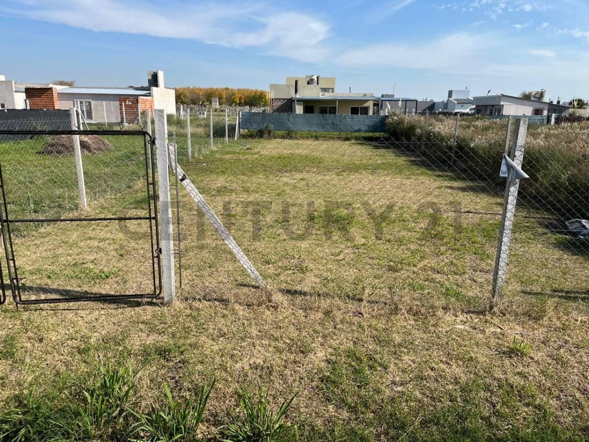 Foto de Terreno en Venta ubicado en el Barrio Lomas de Arana, La Plata, imagen 5